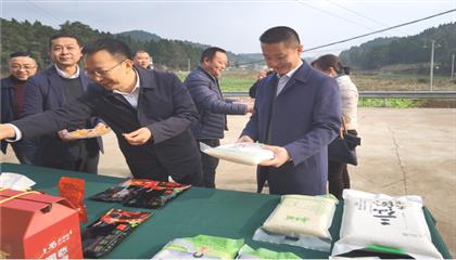 市委常委、政法委書記劉波濤帶隊調(diào)研指導定點幫扶村鄉(xiāng)村振興工作